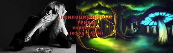 МДПВ Иннополис