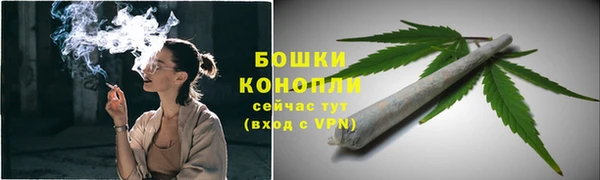 соль ск Инта