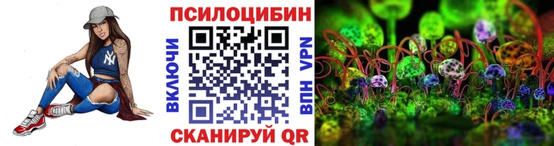 Купить закладки  Вязьма  Псилоцибиновые грибы MAGIC MUSHROOMS 
